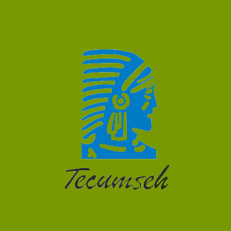 (image for) Tecumseh Genuine Bushing 33679